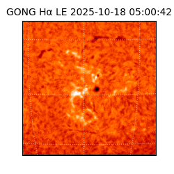 gong - 2025-10-18T05:00:42