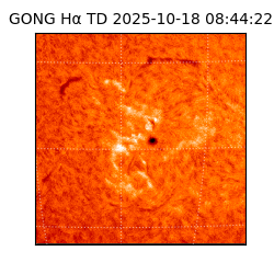 gong - 2025-10-18T08:44:22