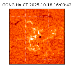 gong - 2025-10-18T16:00:42