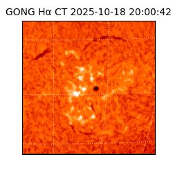 gong - 2025-10-18T20:00:42