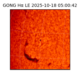 gong - 2025-10-18T05:00:42