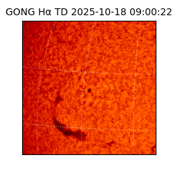 gong - 2025-10-18T09:00:22