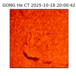 gong - 2025-10-18T20:00:42