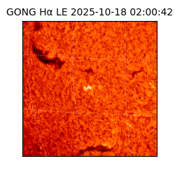 gong - 2025-10-18T02:00:42