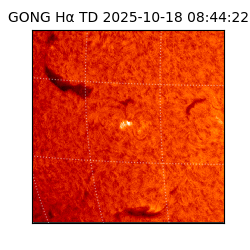 gong - 2025-10-18T08:44:22