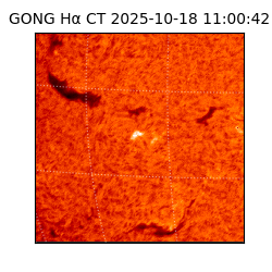 gong - 2025-10-18T11:00:42