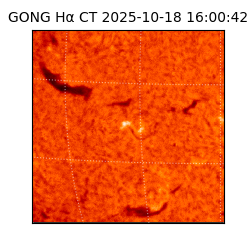 gong - 2025-10-18T16:00:42