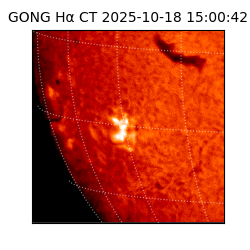 gong - 2025-10-18T15:00:42