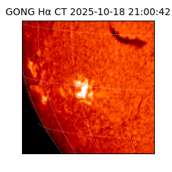 gong - 2025-10-18T21:00:42