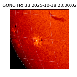 gong - 2025-10-18T23:00:02