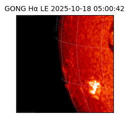 gong - 2025-10-18T05:00:42