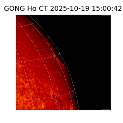 gong - 2025-10-19T15:00:42