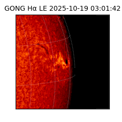 gong - 2025-10-19T03:01:42