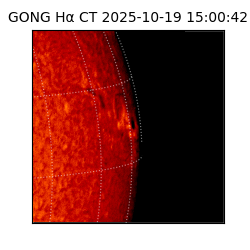 gong - 2025-10-19T15:00:42