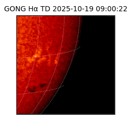 gong - 2025-10-19T09:00:22