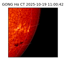 gong - 2025-10-19T11:00:42