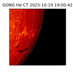 gong - 2025-10-19T19:00:42