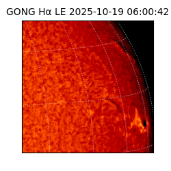 gong - 2025-10-19T06:00:42