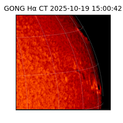 gong - 2025-10-19T15:00:42