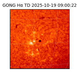 gong - 2025-10-19T09:00:22