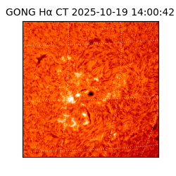 gong - 2025-10-19T14:00:42