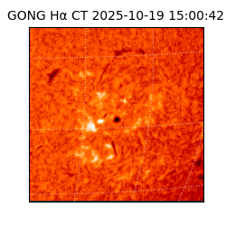 gong - 2025-10-19T15:00:42