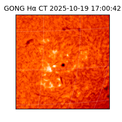gong - 2025-10-19T17:00:42