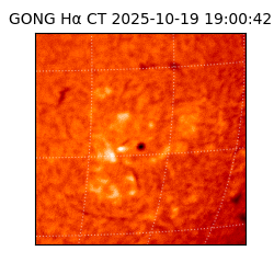 gong - 2025-10-19T19:00:42
