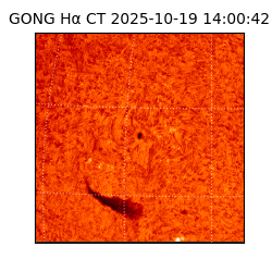 gong - 2025-10-19T14:00:42