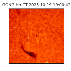 gong - 2025-10-19T19:00:42