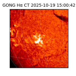 gong - 2025-10-19T15:00:42