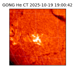 gong - 2025-10-19T19:00:42