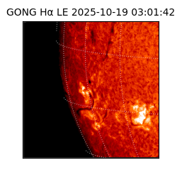 gong - 2025-10-19T03:01:42