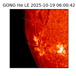 gong - 2025-10-19T06:00:42