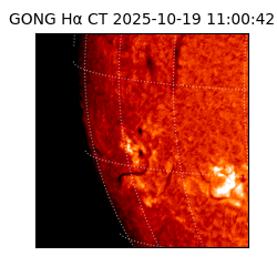 gong - 2025-10-19T11:00:42