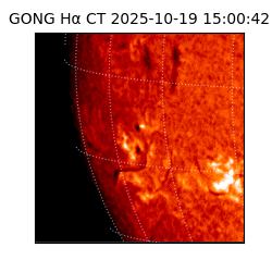 gong - 2025-10-19T15:00:42