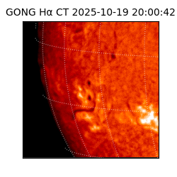 gong - 2025-10-19T20:00:42