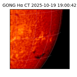 gong - 2025-10-19T19:00:42
