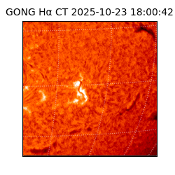 gong - 2025-10-23T18:00:42