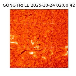 gong - 2025-10-24T02:00:42