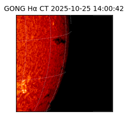 gong - 2025-10-25T14:00:42