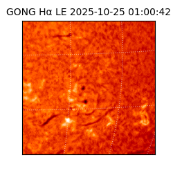 gong - 2025-10-25T01:00:42