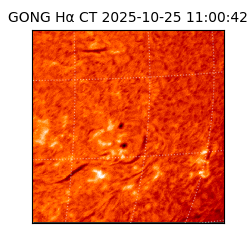 gong - 2025-10-25T11:00:42