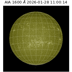 saia - 2026-01-28T11:00:14.126000