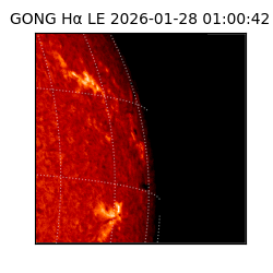 gong - 2026-01-28T01:00:42