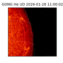 gong - 2026-01-28T11:00:02