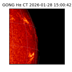 gong - 2026-01-28T15:00:42