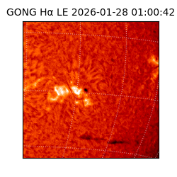 gong - 2026-01-28T01:00:42