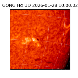 gong - 2026-01-28T10:00:02