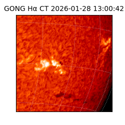 gong - 2026-01-28T13:00:42